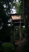 Boomhut