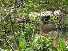 IMG_5142