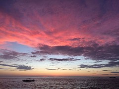 IMG_0146