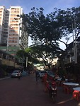 IMG_1757