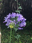 IMG_1810