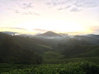 IMG_1856