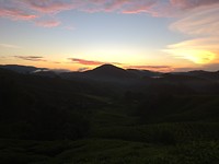 IMG_1865