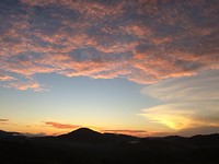 IMG_1876