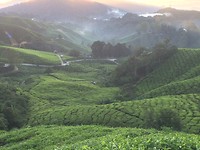 IMG_1883