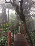 IMG_1899