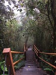 IMG_1908