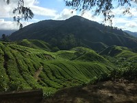 IMG_1964