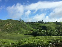 IMG_1968