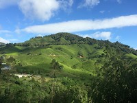 IMG_1975