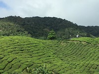 IMG_1990
