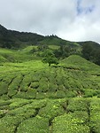 IMG_1995