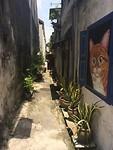 IMG_2107