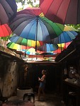 IMG_2115
