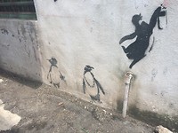 IMG_2128