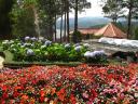 dalat en saigon 015