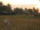 cambodja 057