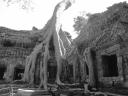 cambodja 109