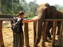 thailand 045