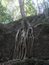 thailand 063