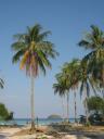 thailand 007