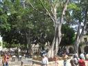 mexico 065
