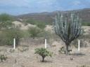 mexico 043