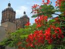 mexico 048