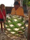 mexico 088