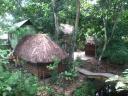 mexico 024