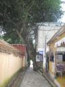 guatemala 075