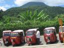 guatemala 2 009