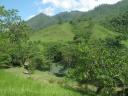 guatemala 034