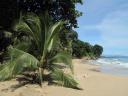 costa rica 045