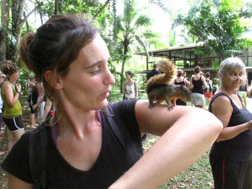 costa rica 050