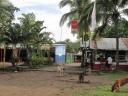 costa rica 100