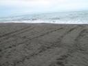 costa rica 103