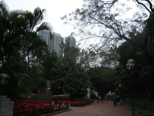 DSCF0644
