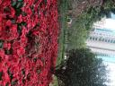 DSCF0645
