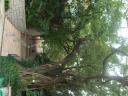 DSCF0651
