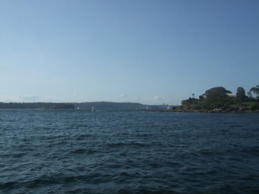 DSCF0929