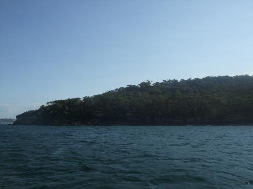 DSCF0934