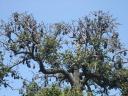 DSCF0866