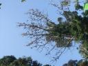 DSCF0867