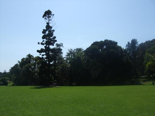 DSCF0869