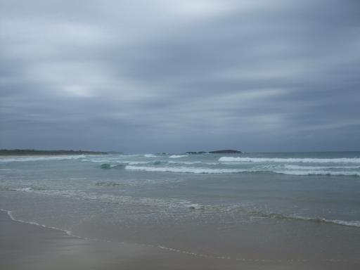 DSCF0969