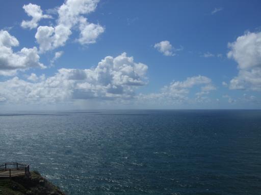 DSCF2181