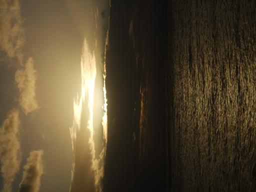 DSCF4786