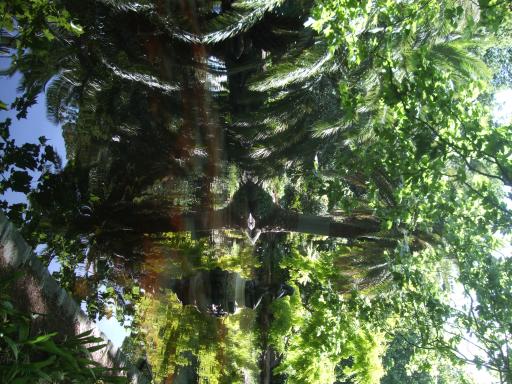 DSCF5086