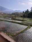 IMG_2715